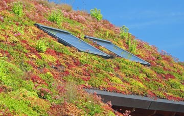 Bulls Green living roof systems
